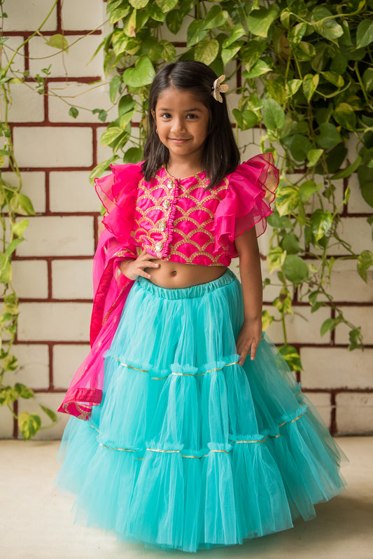 Net Lehenga Choli With Dupatta